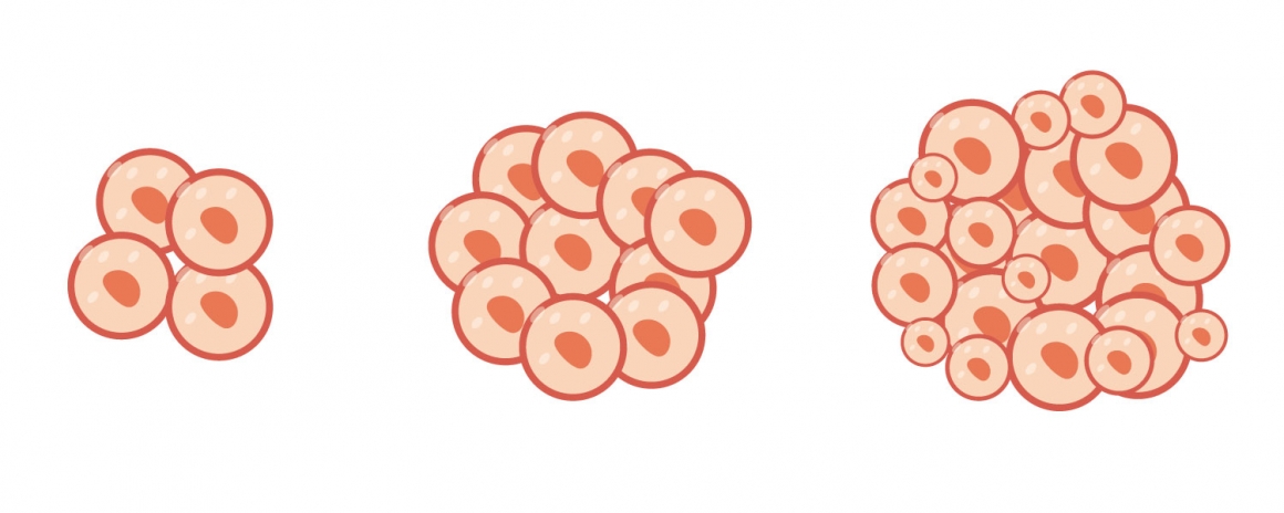 抽血了解AMH值：預測卵子庫存量，我是卵巢早衰還是多囊？