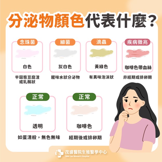 圖片8