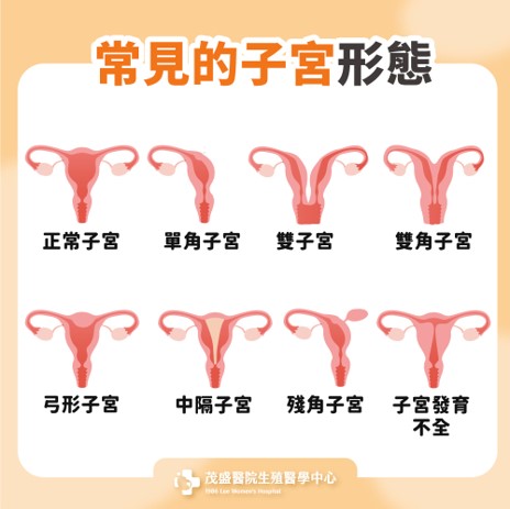 圖片10 圖片10