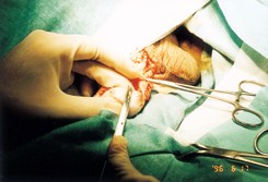 care01_info020_1-27 care01_info020_1-27