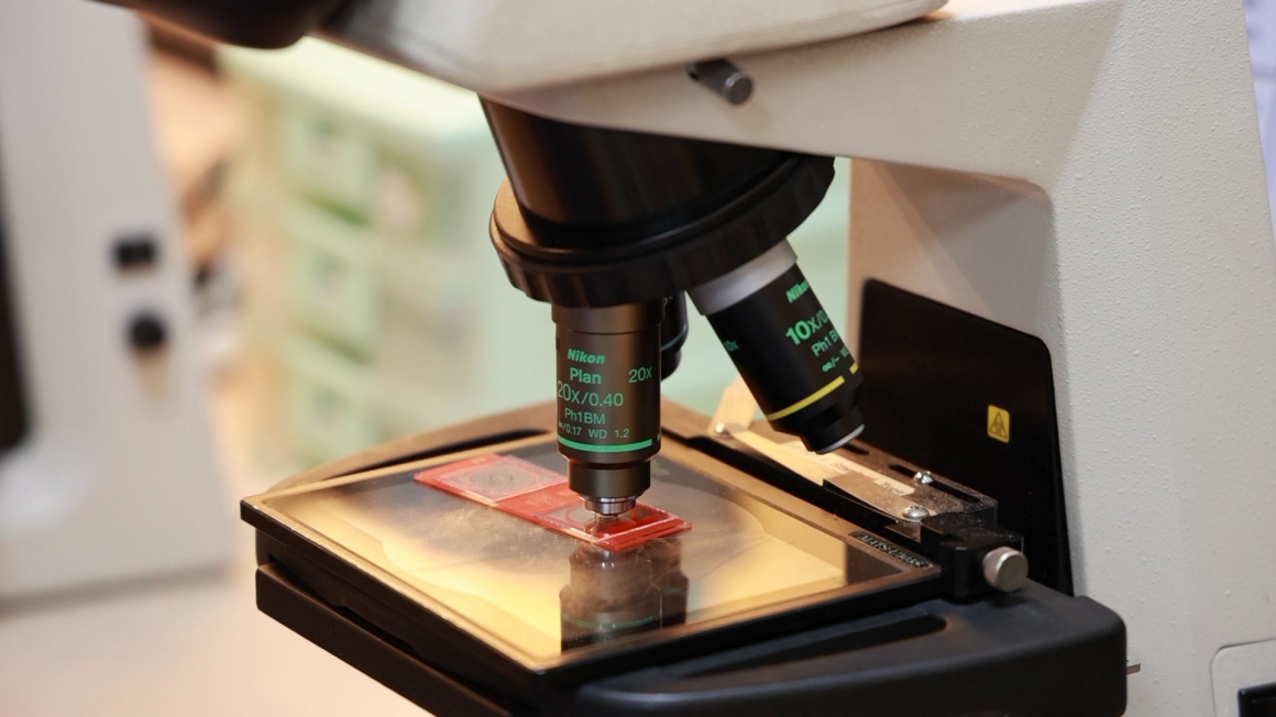 0P8A1248.MP4_20211216_175125.725 0P8A1248.MP4_20211216_175125.725