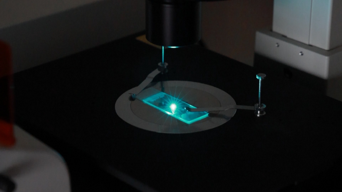 0P8A0957.MP4_20211216_175258.324 0P8A0957.MP4_20211216_175258.324