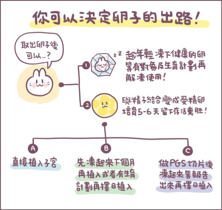 為什麼凍胚-3/不死兔圖文授權 為什麼凍胚-3/不死兔圖文授權
