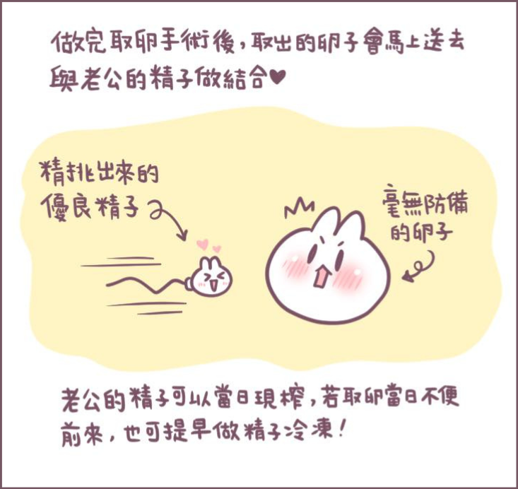 為什麼凍胚-1/不死兔圖文授權 為什麼凍胚-1/不死兔圖文授權