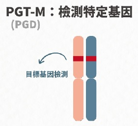 20230606100032ZKaM 20230606100032ZKaM