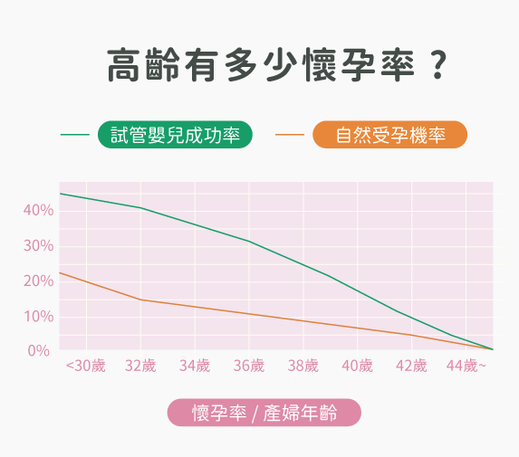 懷孕率 懷孕率