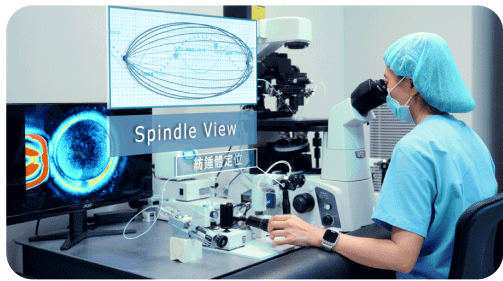 卵子紡錘體定位spindle-view 卵子紡錘體定位spindle-view