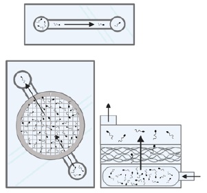 圖二、微流體裝置 圖二、微流體裝置