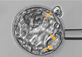 tw_news_0828 tw_news_0828