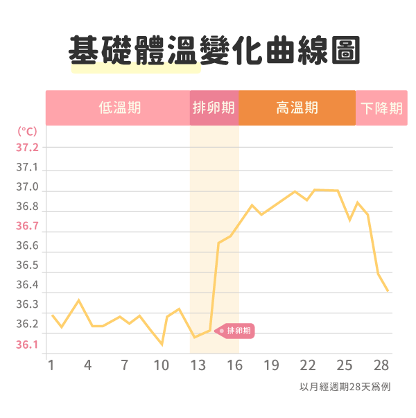 基礎體溫表 基礎體溫表