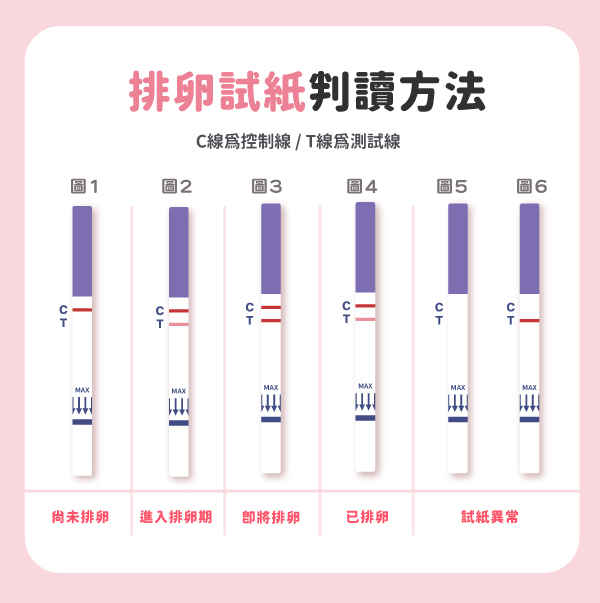 排卵試紙結果