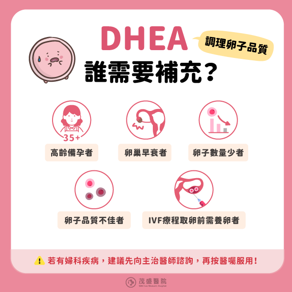 誰需要補充DHEA調理卵子品質 240516 誰需要補充DHEA調理卵子品質