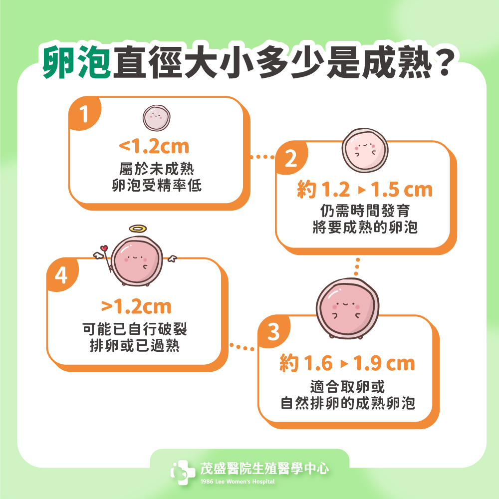 卵泡大小多少成熟