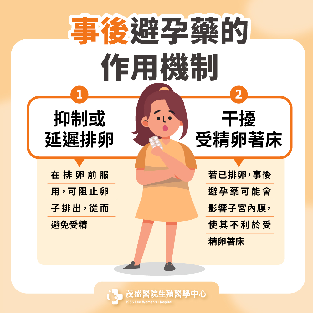 250714-事後避孕藥成分 250714-事後避孕藥成分