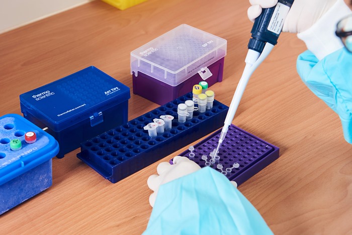 1729241730 1729241730