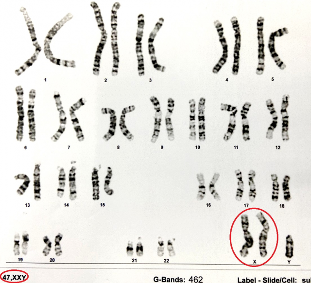 20250326131124odr0 20250326131124odr0