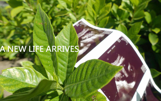 菲律賓Vivian 菲律賓Vivian