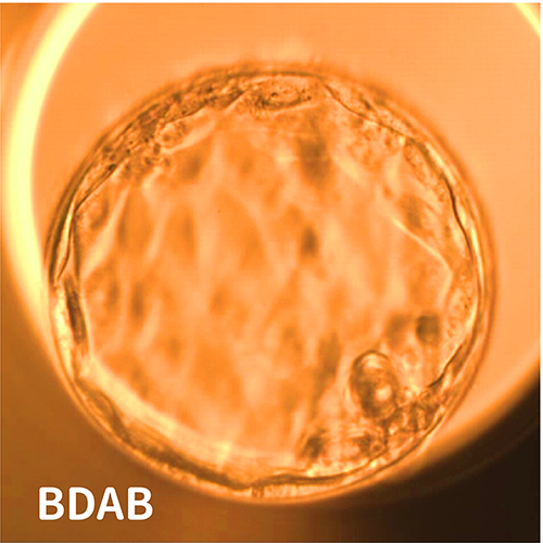 334102344_708826317692943_7667285339027747297_n 334102344_708826317692943_7667285339027747297_n