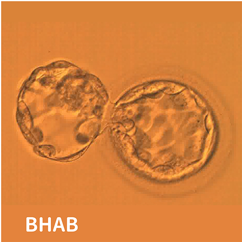 333936093_139649272349372_5658523523540447484_n 333936093_139649272349372_5658523523540447484_n