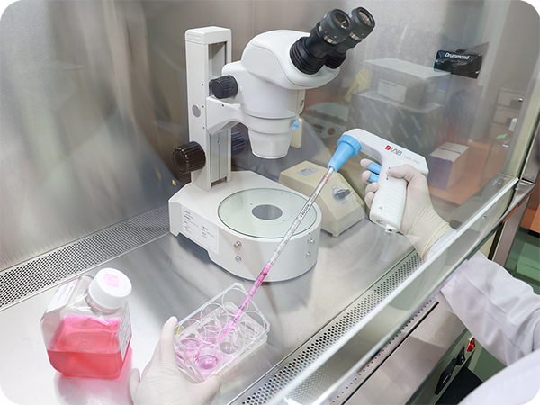 胚胎幹細胞培養 胚胎幹細胞培養