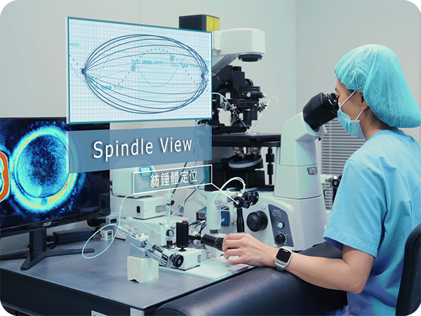 卵子紡錘體辨識 卵子紡錘體辨識