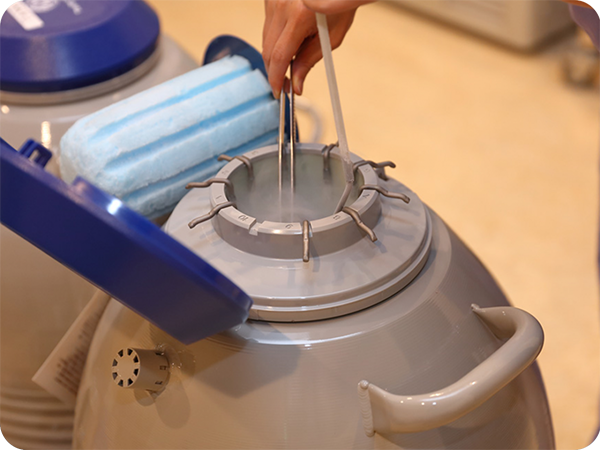 卵子 精子 胚胎銀行 卵子 精子 胚胎銀行