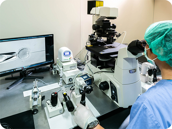 精蟲注射與紡錘體辨識 精蟲注射與紡錘體辨識